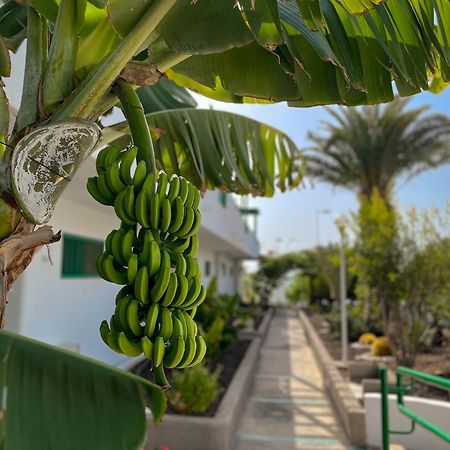 Beautiful Apartment Aguycan Beach 120 Playa Del Aguila Maspalomas  Eksteriør bilde