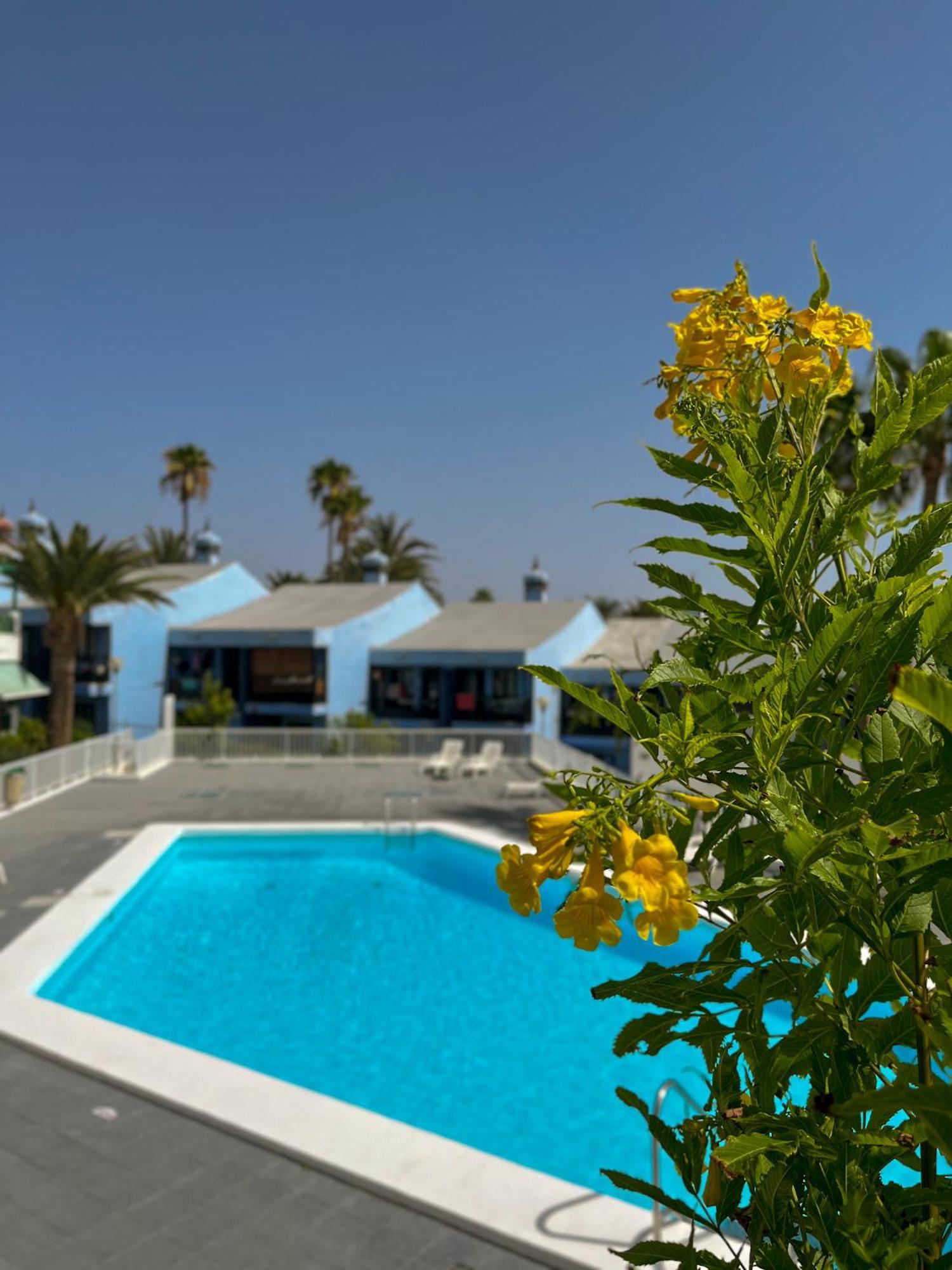 Beautiful Apartment Aguycan Beach 120 Playa Del Aguila Maspalomas  Eksteriør bilde
